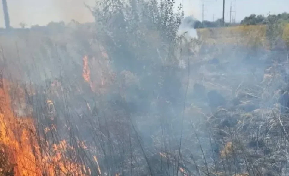 Пожежа сухої трави з полумям і димом на полі біля дерев